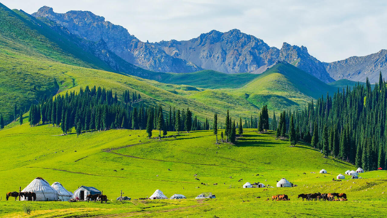 Nalati Grassland